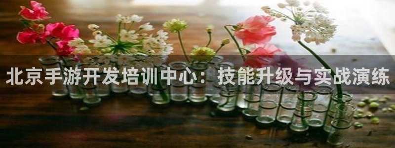 pc长运娱乐官网苹果下载网址：北京手游开发培训中心：技能升级