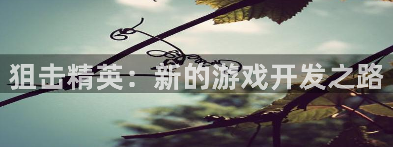长运娱乐官网ios版：狙击精英：新的游戏开发之路