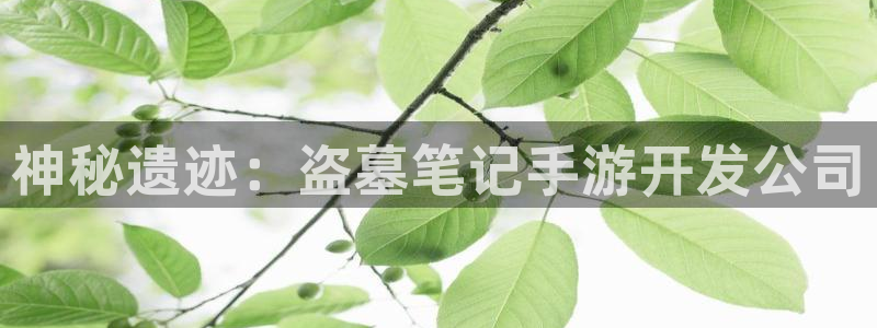 长运娱乐官网加拿大在线开奖：神秘遗迹：盗墓笔记手游开发公司
