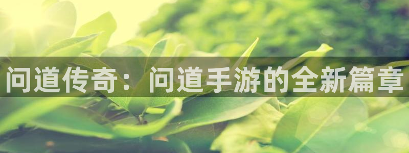 长运娱乐官网杀：问道传奇：问道手游的全新篇章