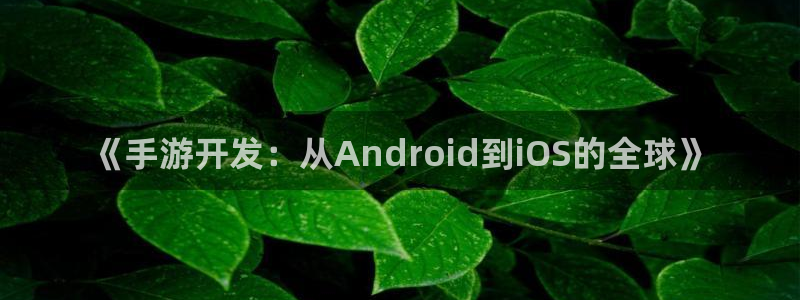 长运娱乐官网开奖预测网站刘伯温：《手游开发：从Android