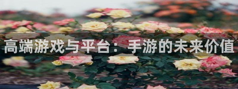 长运娱乐官网ios版：高端游戏与平台：手游的未来价值