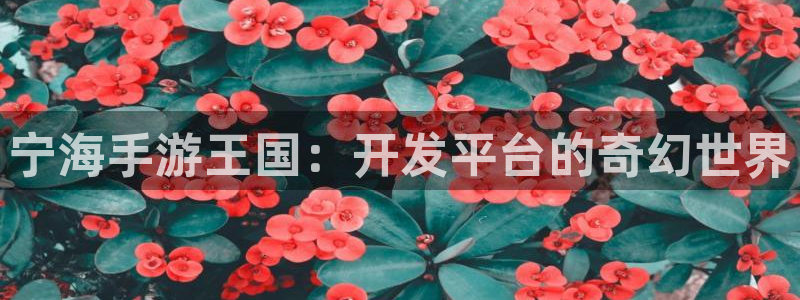 长运娱乐官网官方网站手机版：宁海手游王国：开发平台的奇幻世界