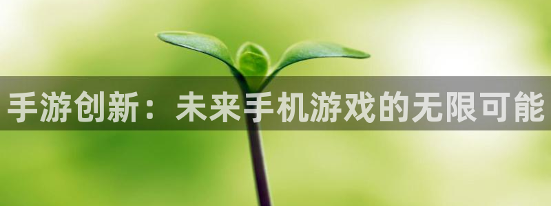 长运娱乐官网预测手机版下载：手游创新：未来手机游戏的无限可能