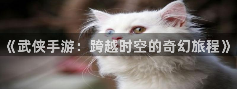 长运娱乐官网官方下载苹果：《武侠手游：跨越时空的奇幻旅程》