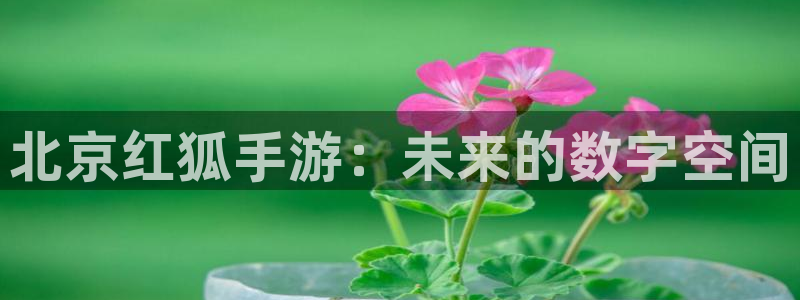 长运娱乐官网预测：北京红狐手游：未来的数字空间