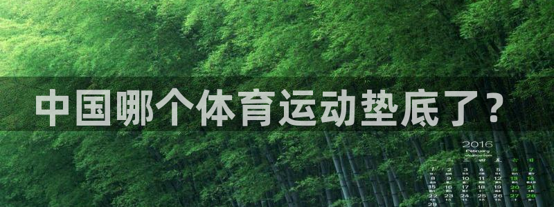谈球吧体育