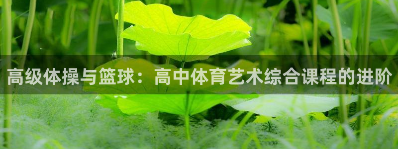 谈球吧体育官网：高级体操与篮球：高中体育艺术综合课程的进阶