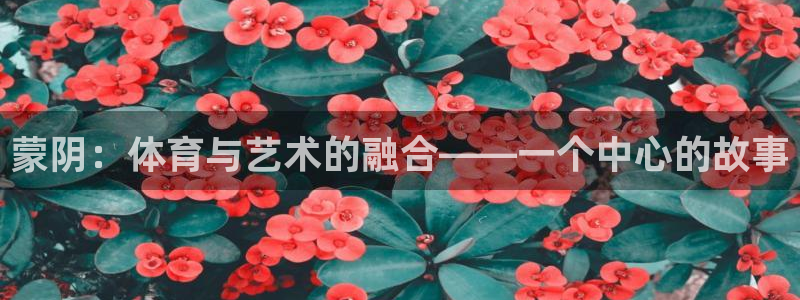 谈球吧：蒙阴：体育与艺术的融合——一个中心的故事