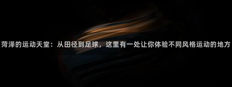 谈球吧体育：菏泽的运动天堂：从田径到足球，这里有一处让你体验不同风格运动的地方
