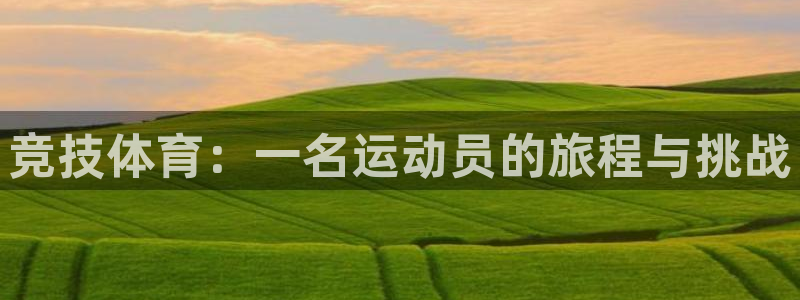 谈球吧体育：竞技体育：一名运动员的旅程与挑战