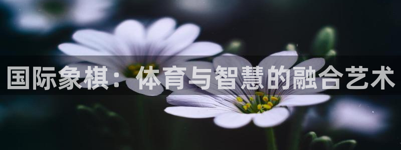 谈球吧体育官网：国际象棋：体育与智慧的融合艺术