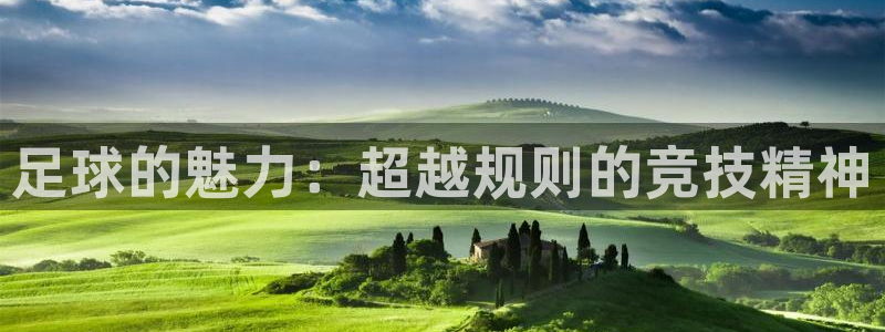 谈球吧体育