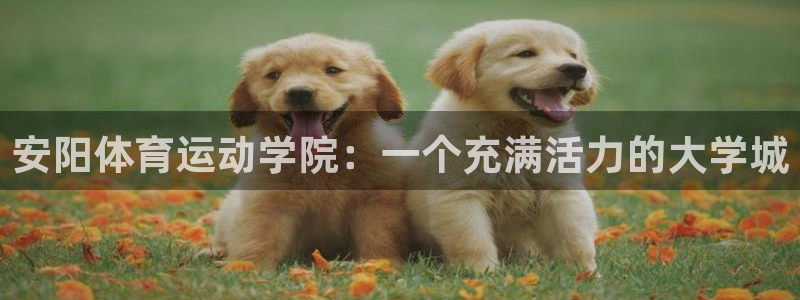 谈球吧：安阳体育运动学院：一个充满活力的大学城