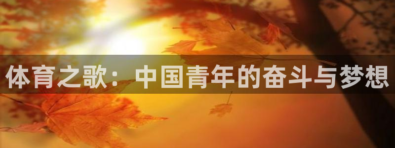 谈球吧：体育之歌：中国青年的奋斗与梦想